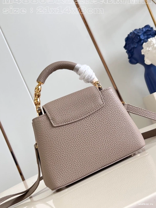 WIS LOUIS VUITTON MINI-21*14*8CM CAPUCINES 0807